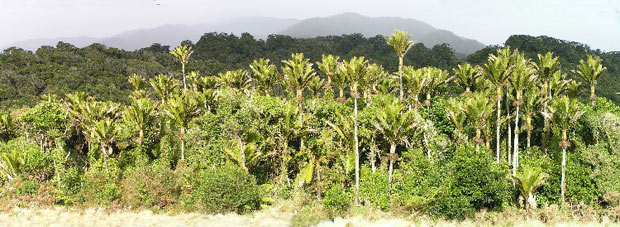 The Heaphy Track